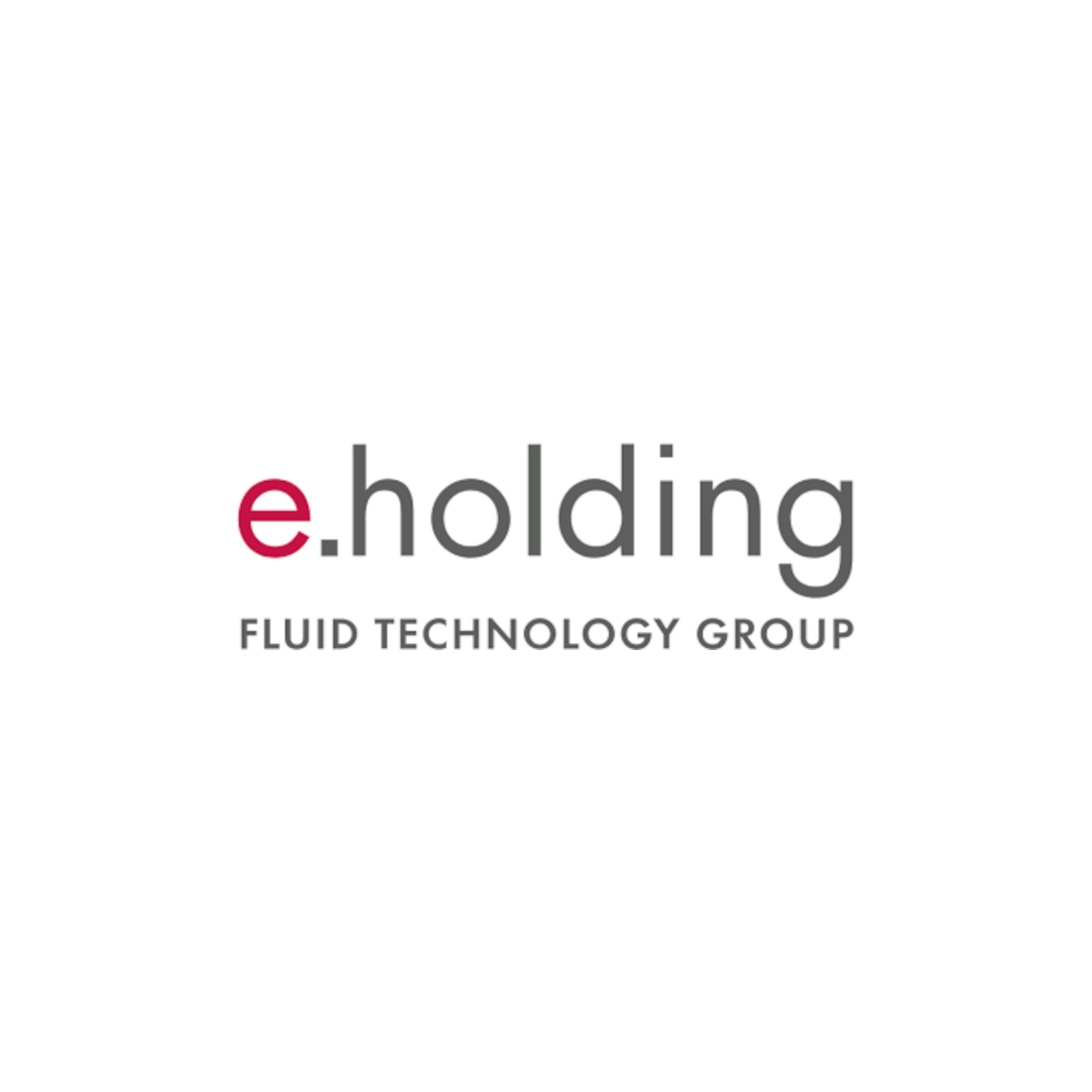 e.holding